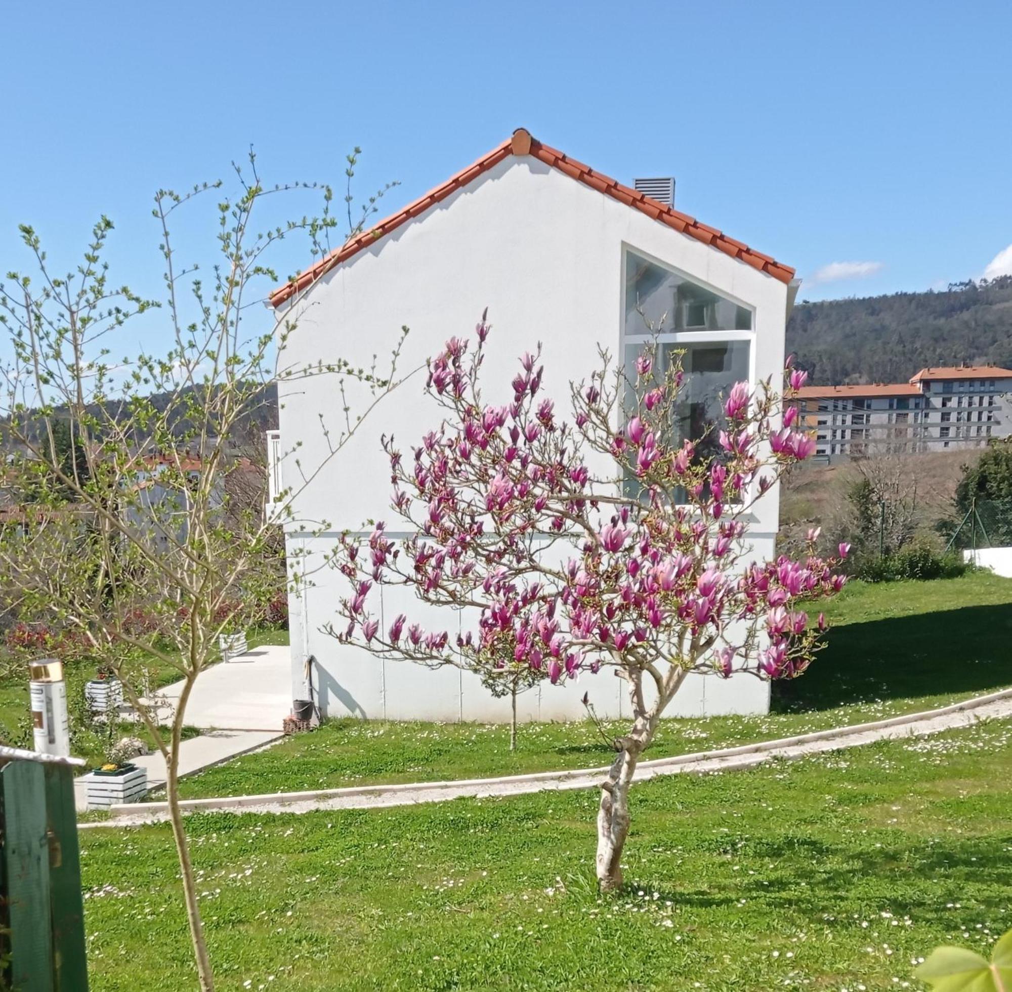 Casas Turisticas Lar Jardin - Parking Privado Santiago de Compostela Eksteriør billede