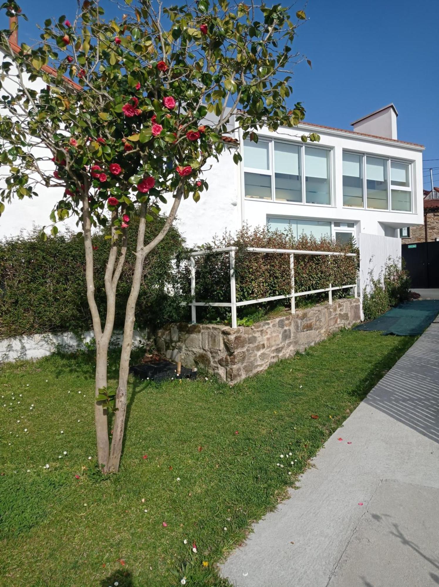 Casas Turisticas Lar Jardin - Parking Privado Santiago de Compostela Eksteriør billede